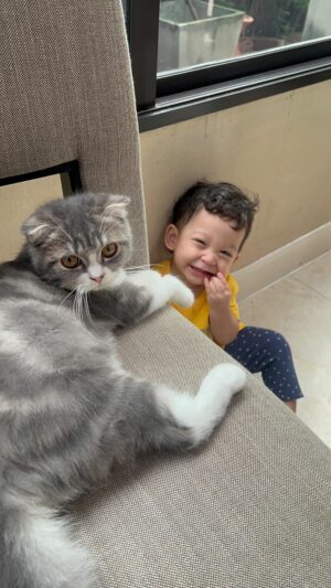 Saran Sirilak Instagram - แอบมาทำไรกันสองคนน้าาา 🥰😽
#น้อนโฮมส์