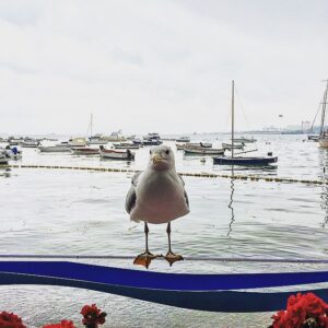 Sarp Apak Instagram - Damsız alamıyoruz yalnız