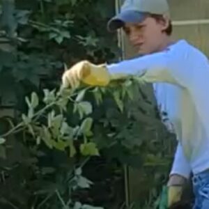 Sasha Frolova Instagram - Ah, those sweet blissful moments of gardening merely hours before you realize you’re covered head to toe in poison ivy.
💚😮‍💨💚P.S. yesterday Erin told me my skin looked like the cucumber my mom picked from here garden 🤥