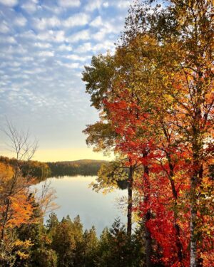 Sasha Roiz Instagram - East Coast Autumn. Nuptials and nephews. Congrats to Charlie and Aysha on a beautiful wedding. 💕 🍁 👦