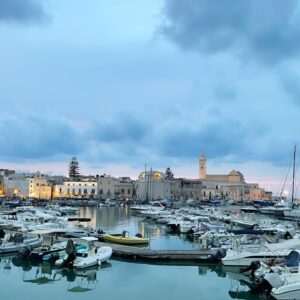 Sasha Roiz Instagram - I left my ❤️ in Puglia 🇮🇹 
Martina Franca, Ostuni, Polignano a Mare, Lecce, Alberobello, Monopoli, Bari, Lecce, Ostuni, Trani