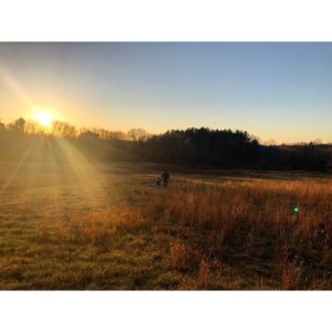 Sasha Sagan Instagram - It’s been a very difficult year, but I’ve been lucky to spend it with these two hilarious, loving, Instagram-shy, silhouetted figures. Today, we three are marking the winter solstice, joyful in the knowledge that no matter what else happens the days will start getting longer. The light will return. The particular movement of our planet around our star is both completely reliable and profoundly beautiful. And, I think, cause for celebration. Amazing how much splendor a little axial tilt can provide. Happy solstice, my friends (no matter your hemisphere) 🌞🌌🌍✨