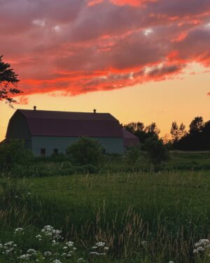 Saskia Thuot Instagram - La nature est grandiose, en route ce soir, j’étais émerveillée devant tant de beauté. Je me suis arrêtée sur le côté de la route pour capter le moment. Sans filtre. Maudit que c’est beau chez-nous ❤️
☺️
