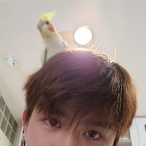 Save Saisawat Instagram - ไข่ตุ๋น