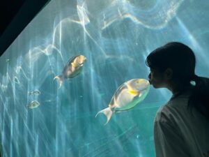 Sawako Fujima Instagram - 😙💋🐟