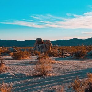 Scott Clifton Instagram - Much needed last-minute camping trip in Joshua Tree with my two hetero-lifemates @thomasjankas and @trenttrail. (We all got covid-tested beforehand and slept in separate tents, to be safe.) Tom brought his new fancy camera and became our resident photographer, leaving us with some of these gems. (He kept trying to give all the credit to the camera, but the man’s got a hidden talent.) Trent and I mostly drank beer, reminisced about the good old days in acting class, and playfully argued over whether the sunset proved God’s existence. It was a good reminder that whatever else happens to be consuming us—politically, economically, socially—nature and all its quiescent beauty will always be there, waiting to be rediscovered.