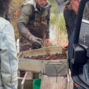 Scott Clifton Instagram - So, I went crawfishing. In Louisiana. In the rain. Does it get any better than that? (Shoutout to Neil, Travis and their respective families, who graciously donated their time to the Clifton Hollywood Bubble Rescue Fund.) 
📷: @franceg