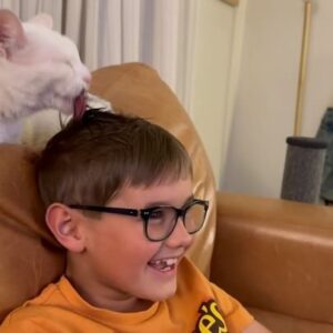 Scott Clifton Instagram - Showers waste water. Save the planet; get a cat.