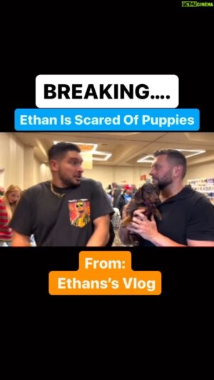Scott Colton Instagram - I find it so odd that @official_ego is so scared of a little puppy…. Watch it all on his vlog. #aew #aewdynamite #vlog #toys #toystagram #dogsofinstagram #dauschund #dauschundsofinstagram #weinerdog