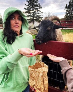 Scott Foley Instagram - Big birthday weekend!  Our youngest is 8 and we did it up!!! @legoland.newyork , homemade birthday cake #amongus , feeding some farm animals and a family dinner to wrap it up!! Only thing left to do…#thanksgivingshopping !!!