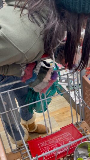Scott Foley Instagram - Anyone know what she's talking about? #homegoods #thanksgivingshopping