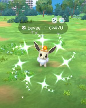 Scott Porter Instagram - Was able to join the #PokemonGOFest2024 fun in NYC yesterday and what an AWESOME experience!!! And that view.

Catching shinies is more fun like this. Hung with the community in the park experience on Randall’s Island, caught 30 shinies (the NYC City Backdrop goes HARD), raided through #CentralPark with hundreds of other trainers for the city experience, met some awesome folks like Daxi and Billy, chilled with some Pokémon pals like Snorlax…and maybe went a little too HAM in the merch shop. Oooooops.

I wish I could’ve stayed to play the rest, but had to get back. Two days left for y’all to join in on the fun with the whole @pokemongoapp community!!!

Thanks for having me, y’all! Can’t wait till next time! @nianticlabs 

#PokemonGOPartner #teaminstinct⚡