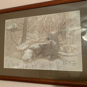 Scott Wozniak Instagram - I miss drawing a lot sometimes! These are two things I drew around 10 years ago, they’re both based on pieces done by Robert Bateman and Bob Travers.