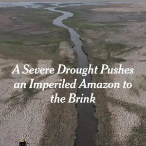 Scottie Thompson Instagram - On this Giving Tuesday, I wanted to invite you all into the Amazon with me, into its incredible majesty and the harsh realities that face it every day.

I have shared bits of my adventure back in September when I attended the Indigenous Women’s March. But before we went there, I went with a delegation of incredible women with Amazon Watch, one of my favorite non-profits. Their years of working with Indigenous communities throughout the Amazon basin afforded our group a truly unique opportunity to step into the heart of the Amazon, thanks  to the hard work of warrior women like @leilasalazar2012 at Amazon Watch, as well as the impeccably curated experience led my @maira.irigaray at @in_samauma , who herself used to work with @amazonwatch . We were blessed by communities such as the village of Bragança welcoming us in, shared in prayers of protection with a shaman of the Tupinambá people, and swam in pristine clear Igarapé waters deep within the jungle. It was a dream adventure, and one that allowed me to experientially grasp the power and beauty of this sacred place on earth, and the absolute necessity of protecting her.

I wanted to share images of the profound beauty I had the incredible honor of experiencing, as well as horrifying images of the draught that touched the same shores on which I had danced just a month earlier. The draught, combined with epic man-made fires that continue to destroy the lungs of the earth, are very raw and real reminders of what is at stake. What happens in this incredible, biodiverse and vital realm affects us all, as the Amazon feeds and cleans the air around the world.

So if you’re called to give on this #givingtuesday please check the link in my linktree for @amazonwatch and donate. I also have a fundraiser link attached. You can trust that your money will go to a very worthwhile cause in true integrity.