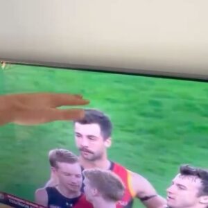 Scotty James Instagram - Previously on…