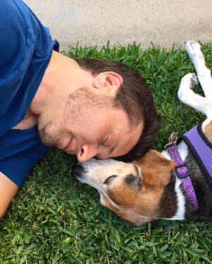 Seamus Dever Instagram - Many of you knew the Legend that was Maizy the Beagle. It grieves us so much to tell you that she’s gone. She lived three lifetimes worth of dog lives. 17 years! 
We rescued you at Beagles and Buddies after you jumped in my lap and kissed my face, a signature Maizy move. She’s the only dog that I got to pick as a pet ever. She was “my fault” as we’d sometimes say. But what a life she had. 
She was a cover model for Life and Dog magazine, in a commercial for Best Friends Animal Sanctuary, 2nd place at the Race for the Rescues 5k run, she was on tv shows sets and even became a theatre dog at Laguna Playhouse. She had multiple backyards to get in trouble in and even once fulfilled her lifetime bloodlust goal of catching a squirrel. 
I have many scars on my body as the result of our disagreements concerning “what are you eating?” I guess I’m happy that I have those scars to remember her now. But she also healed me many times in ways she could never understand. 
She wasn’t a good girl but she did everything Maizy style. And maybe it’s better to be a one of a kind, original than be a good girl. Godamn it but we miss her so.