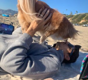 Sean Faris Instagram - I'm so grateful to have found my soul mate in this life! I LOVE YOU SIMBA💜 @cheriealexandra 🙏🏼 Simba and I both owe you a massive debt of gratitude for ensuring that he and I got to run it back! You really are a great friend. I don't know how I could ever repay you for  being his caretaker for 5 years before he and I got to reconnect!  #tearsofjoy even as I type this!😂😂😂

#hecompletesme #soulmate #onetruelove❤️ #mightevenpaytopromotethisoneformorereach🤣