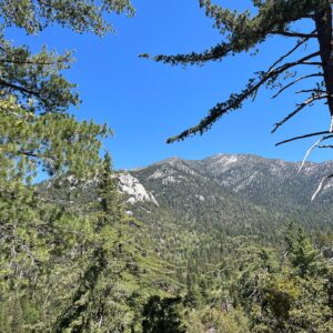 Sean Giambrone Instagram - Weekend in @idyllwildcalifornia and great hiking at #sanjacintostatepark Beautiful mountain area. #hikingadventures #idyllwildcalifornia #hikeidyllwild #sanjacintomountains #sanbernardinonationalforest
