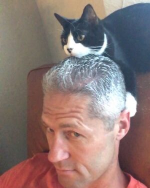 Sean Larkin Instagram - Comfy cat #mycathasissues