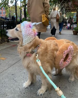 Sean O'Pry Instagram - Unicorn Donut 🍩 won. Happy Halloween