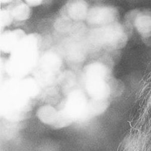 Sean Ono Lennon Instagram - 