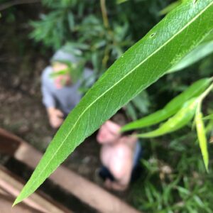 Sean Ryan Fox Instagram - Monkey exhibit