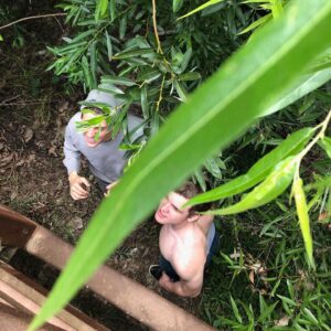 Sean Ryan Fox Instagram - Monkey exhibit