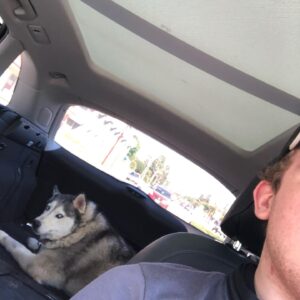 Sean Ryan Fox Instagram - He knows what’s up