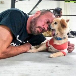Sean Waltman Instagram - My beautiful Baby Lula is gone. Her kidneys failed. She lost almost 1/2 her body weight. I'm devastated. I became a better man because of her. I♥️U Lu! #RIP Go to @itsbabylula to see some of our journey together.