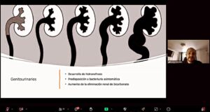 Sebastián Ugarte Instagram - Desde temprano este sábado analizando Online un tema clave: "Sepsis en la embarazada". Tenemos el honor de contar con el Dr. Jorge Méndez como invitado especial. Y estuvo todo nuestro equipo de especialistas de @clinicaindisacl  y @postgradosunab