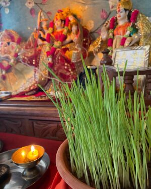 Seema Pahwa Instagram - Happy ashtami to everyone 🙏🌺🌺🌺🌺🌺🌺 Devi maa hum sab par apni dayaa banaye rakhe #life #prayer #truthseeker #lightning #help #self#dedicated 🌺🌺🌺🌺🌺🌺🌺🌺🌺🌺