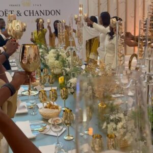 Seko Shamte Instagram - Thank you @mmi_tz and @moetchandon for a beautiful event and the start to a beautiful birthday weekend! 🚀🚀🚀 with my beautiful and talented friend @bhokeegina ❤️❤️❤️