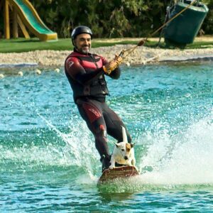 Selim Bayraktar Instagram - Onlarla iyileşme yolunda olacağız. #neowakedog @hipnotics