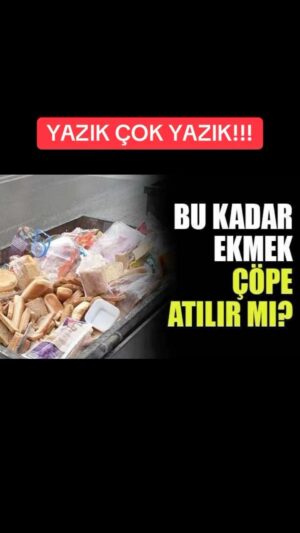Selim Gülgören Instagram - Bir gün içerisinde onlarca ekmek vb ürünler çöpe atılarak maalesef israf ediliyor
“Bazı”👈 biresyel kullanıcılar ve marketler bu ürünleri dağıtmak yerine çöpe dökmeyi tercih ediyor. Belediyelerin acilen bayat ekmek kutuları oluşturması ve bu israfın önüne geçmesi gerekiyor.Sende bu video’yu paylaşarak bana destek olup sesimizi duyurmamıza yardımcı olabilirsin✍️
.
.
.
#selimgülgören #şarkıcı #oyuncu #instagram #instareels #israfahayır #ekmekler #ürünleriçöpeatma #marketler #fırınlar #bayatekmekleriatmiyorum #geridönüşüm #iade