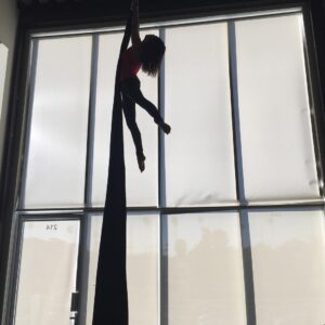 Selkie Hom Instagram - I love watching them fly.... My lovely lady @janelparrish