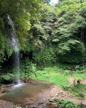 Semra Hunter Instagram - 🇮🇩Bali, part 3: Waterfalls!
.
.
.
#Bali #Indonesia #Waterfalls #Munduk #Jungle #IslandLife #Water #Nature #ForeverExploring #WorldTravel #LifeOfAdventure