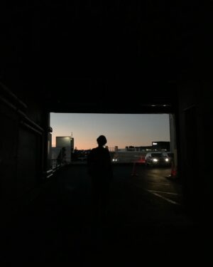 Sen Mitsuji Instagram - I have a functioning phone again🙏🏼 Here is a long overdue New Zealand dump. Happy New Year by the way😊
1) first time eating in a post office. 5 stars 
2) beautiful car park and wife
3) Jurassic hobbitland 
4) summer evening wine
5) I generally prefer dogs but this was very charming 
6) this “soup” contained roughly a whole chicken