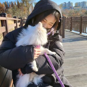 Seo Bo-ra Instagram - 멍뭉이들과 행복했던 날 💛🌷💛🌷
