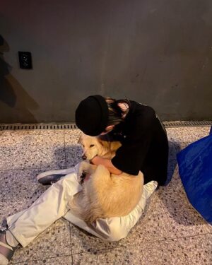 Seo Chul Goo Instagram - 어제 형이 한잔만 더 했어도 너랑 대화가 통했을 것 같다 🥰🤷‍♂️
