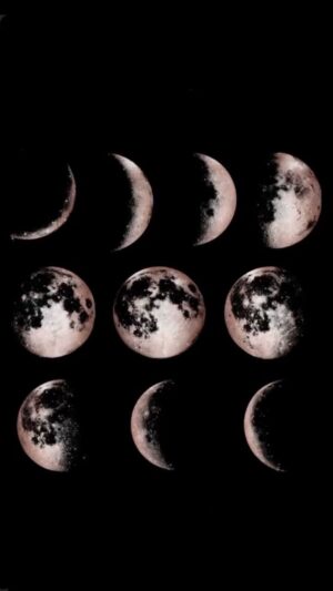 Serah D'Laine Instagram - full moon x eclipse vibes.
Time to let gooo…..but for real this time 😉
.
It’s not enough to know your pattern or delete them, it’s knowing how to create your future self that designs a new pattern. 
.
Who is your future self   what would life, love   success look like as HER?
.
Speaking of - Have you heard about “the pattern”? @thepattern 
When I’m not asking my astrology friends for guidance in life, love   business, especially during eclipse season - I’m checking my notifications on this free app.
(*no, I am not a sponsor for them 😂)
It combines your numerology   astrology AND you can run comparability profiles for friends   potential partners. But you only get 5 a day so use that sh*t like glitter, you know what I mean. 😉
🌹
.
.
.
.
#liveauthentically #liveinthepresent #authenticity #emotionalintelligence #relationshipgoals #relationshipquotes #quoteoftheday #quotestoliveby #hypnotherapy #personaldevelopment #positivevibesonly #selflove #selfreflect #findyourhappiness #lessonslearned 
#selfgrowth #positiveintensions #highvibelife #higherawareness #thehigherself #highervibrations #innerguidance #spiritualbeings #leadership #selfmastery #impostersyndrome #fullmoon #eclipse