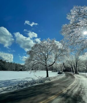 Sercan Badur Instagram - Catskill, NY 12414, USA