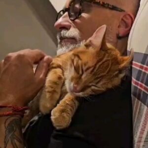 Sergi Arola Instagram - Es viernes y #ramsesthecat lo sabe... ❤️🐱