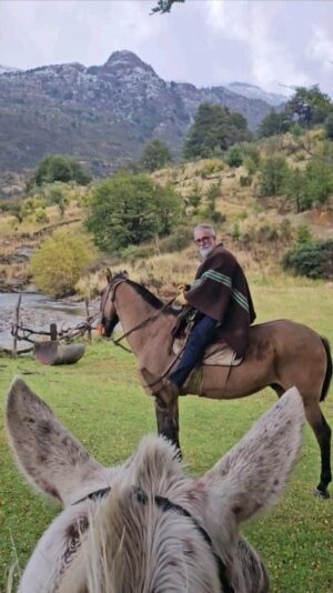 Sergi Arola Instagram - Que porque amo tanto este país...??? Porque no hay otro país igual... 🇨🇱
#sabingueandochv 
#chilelindo🇨🇱 
#secretosdelosandes
#arrieros
#crianceros
#turismoruralchileno