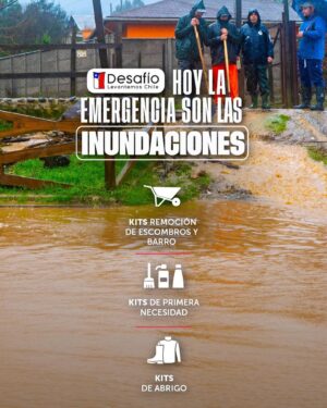 Sergio Lagos Instagram - Podemos juntos siempre ir por mas.  Más cariño, más apoyo, más solidaridad. Únete! A la campaña de @desafiochile 🇨🇱👏👏👏👏👏👏☀️🙌