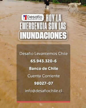 Sergio Lagos Instagram - Podemos juntos siempre ir por mas.  Más cariño, más apoyo, más solidaridad. Únete! A la campaña de @desafiochile 🇨🇱👏👏👏👏👏👏☀️🙌