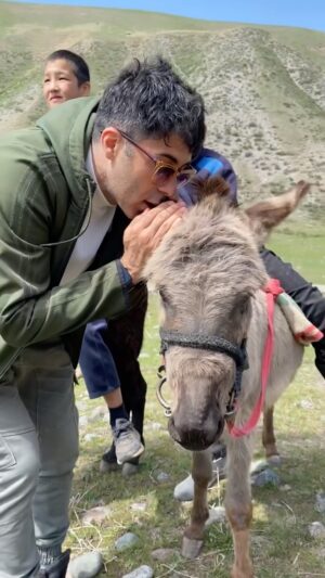 Serkan Şenalp Instagram - Uslu Duramayanlar’ın yeni sezonuna başlacak olmanın beni en çok mutlu eden yanı bu adamla maceralara atılacak olmam.Bu da Kırgızistan maceramızdan küçük bir kısım 🎈
@ozanaydemirr 
@yasinusludur 
@sarperkaratas 
@usluduramayanlar 
@trtbelgesel 
@kirgizistanikesfet 
.
.
.
#reels #kyrgyzstan #horse #gopro #shotoniphone #travel