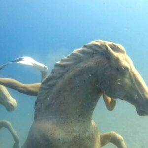 Serkan Şenalp Instagram - Sonsuz mavilikler altında🐳
