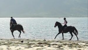 Serrana Su-Ling Bliss Instagram - Wow that was cool…!! Been a long time since I’ve ridden, wish I could do it more often… ❤️❤️🐎🐎

#mauritius #horseriding #beachhorseriding #lemornebrabant #easterholidays