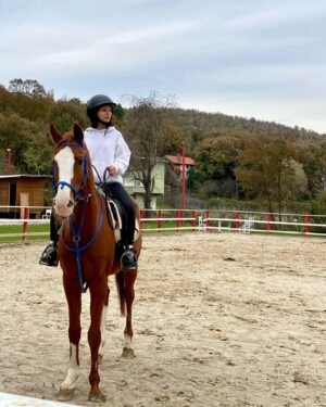 Sevinç Kumaş Instagram - 🏇🏇🏇