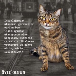 Sevtap Çapan Instagram - Her tekmede bir canını kaybetti, onuncusunu kalbimize, vicdanımıza, şefkatimize bıraktı. O ve tüm canlar için... 

Öyle Olsun Dergi aileme, Genel Yayın Yönetmenimiz Sayın Atilla Buğra'ya, çizerimize ve emeği geçen herkese teşekkürle iyi okumalar dilerim. 

#Repost @oyleolsundergi
Sevtap Çapan’ın kaleme aldığı Kalbine Bıraktım 24. sayıda sizlerle. Profildeki linkten ücretsiz indirebilirsiniz. @sevtapcapan
.
.
#dergi #sanat #kültür #edebiyat #öyleolsun #öyleolsundergi

#yeniyazılar #yeniyazım #yazar #sevtapçapan #erossahipsizdeğildir #birşeyyap en azından #oku #okut #unutma #birlikteiyileşelim #türkiye